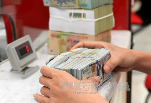 Tỷ giá trung tâm tăng 5 đồng ảnh 1
